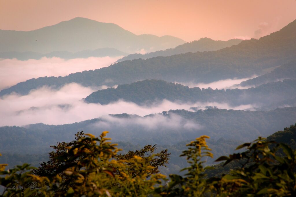 fog-in-the-mountains