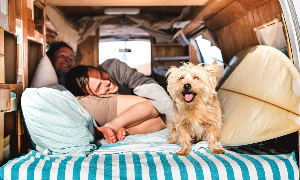 vanlife couple with dog