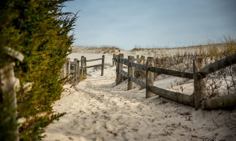 Hammonasset Beach state park