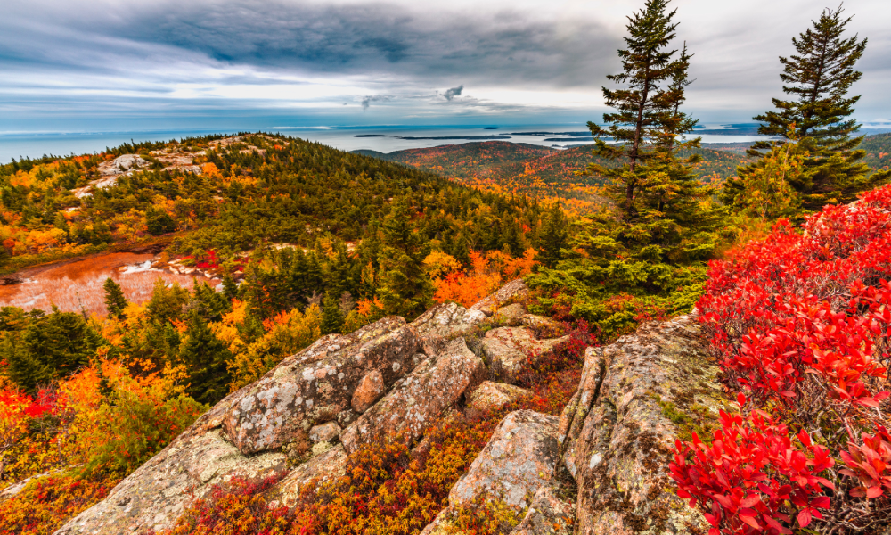 acadia national park must-sees