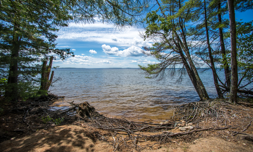 best campgrounds Sebago Lake State Park