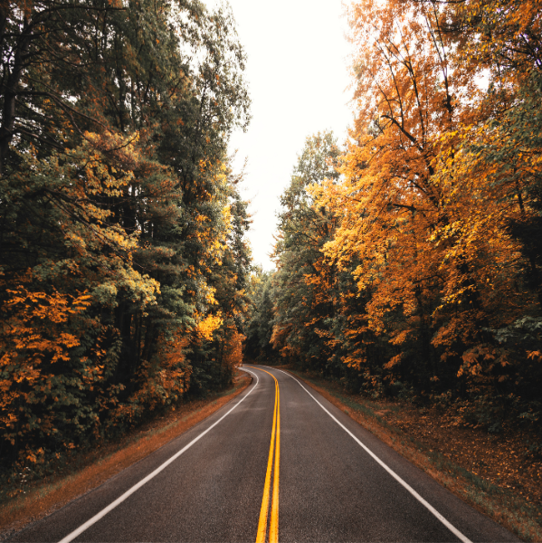 new england road in fall