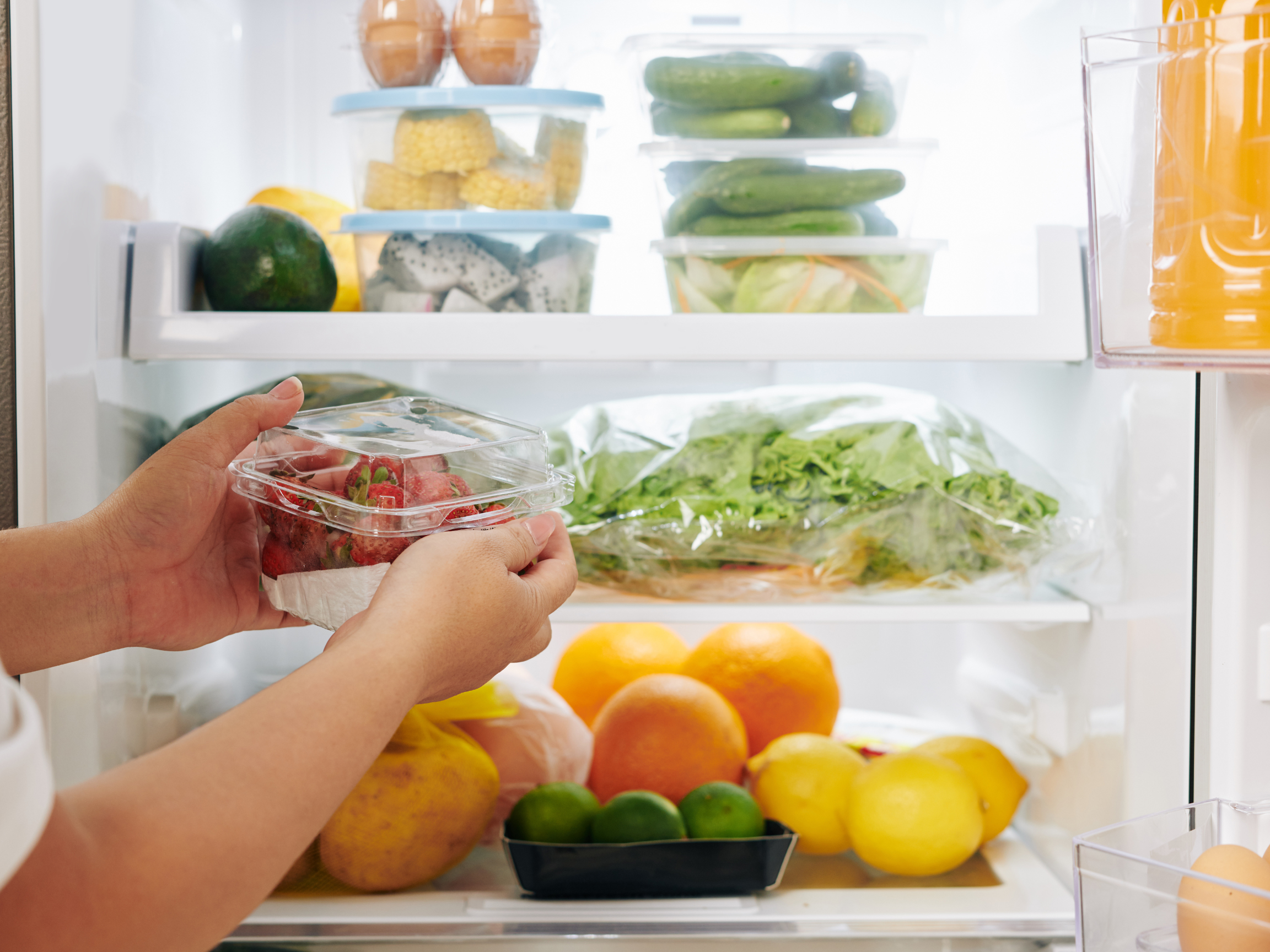 keeping food fresh in a camper van fridge