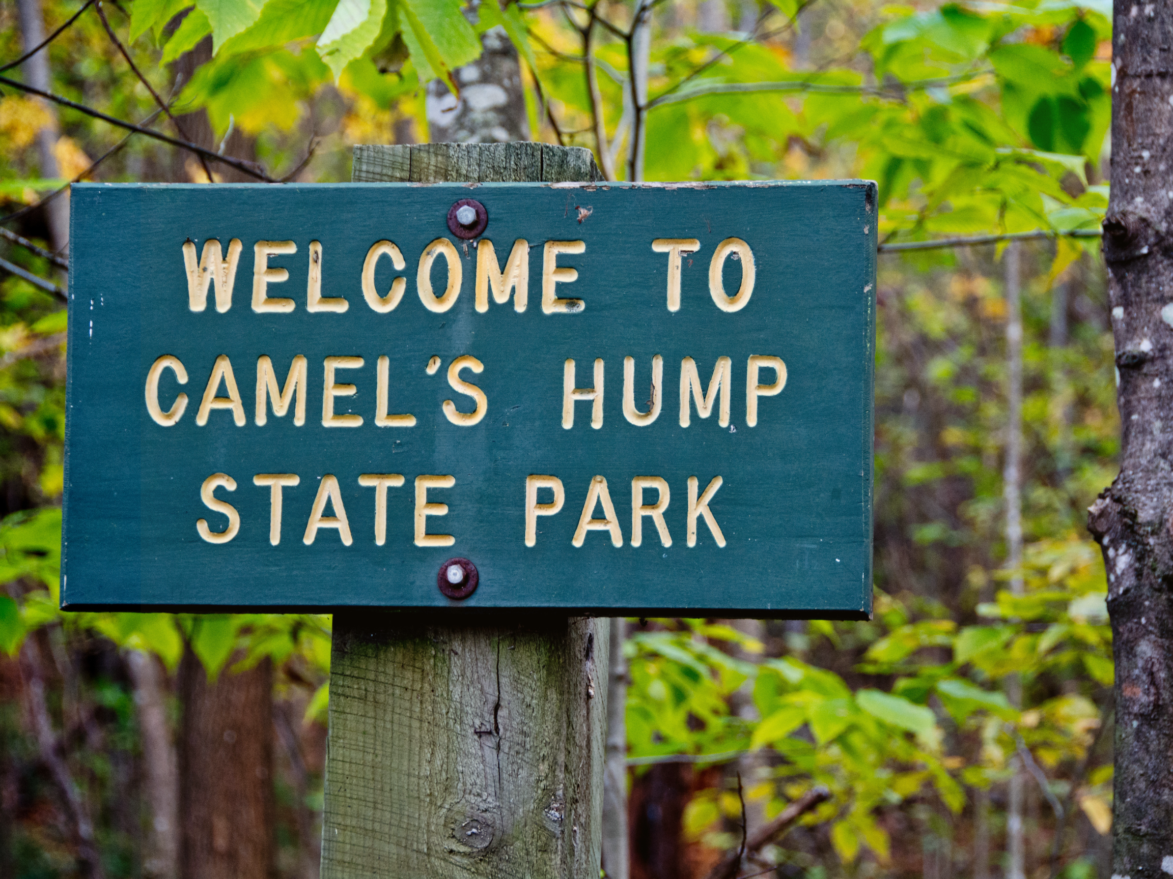 camels hump state park - best camping in vermont