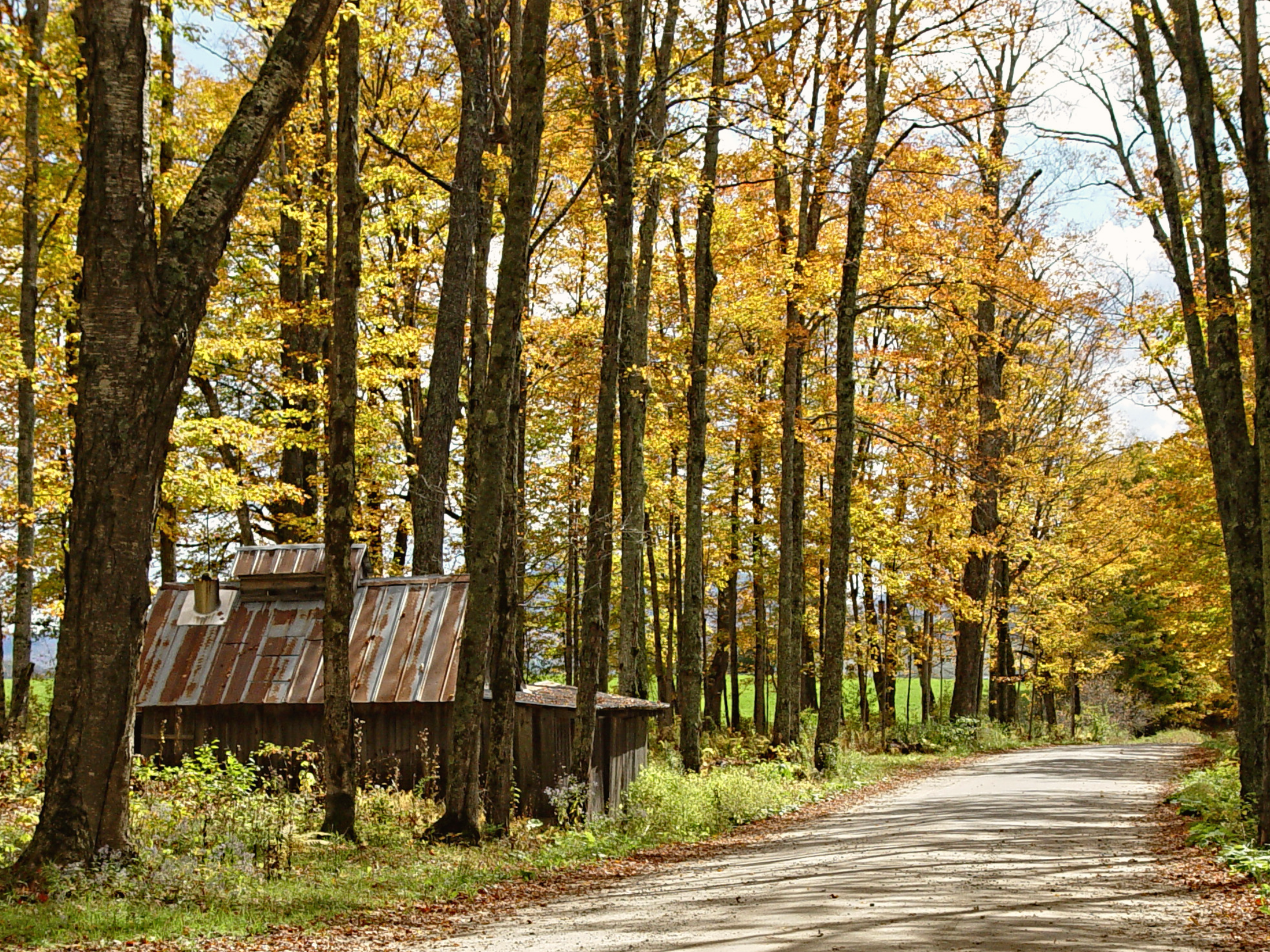 popular campgrounds in vermont