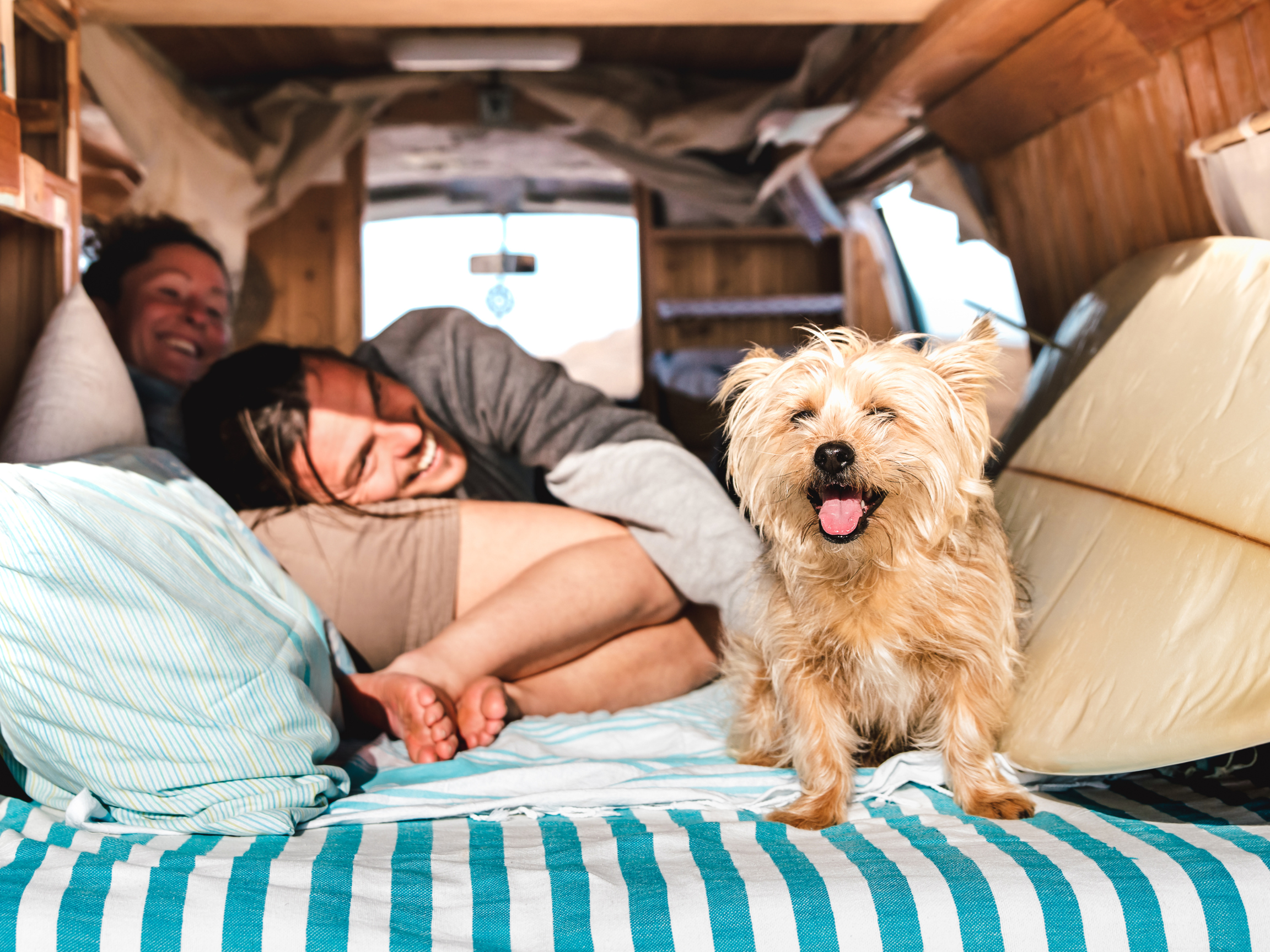 couple and dog in miami campervan rentals