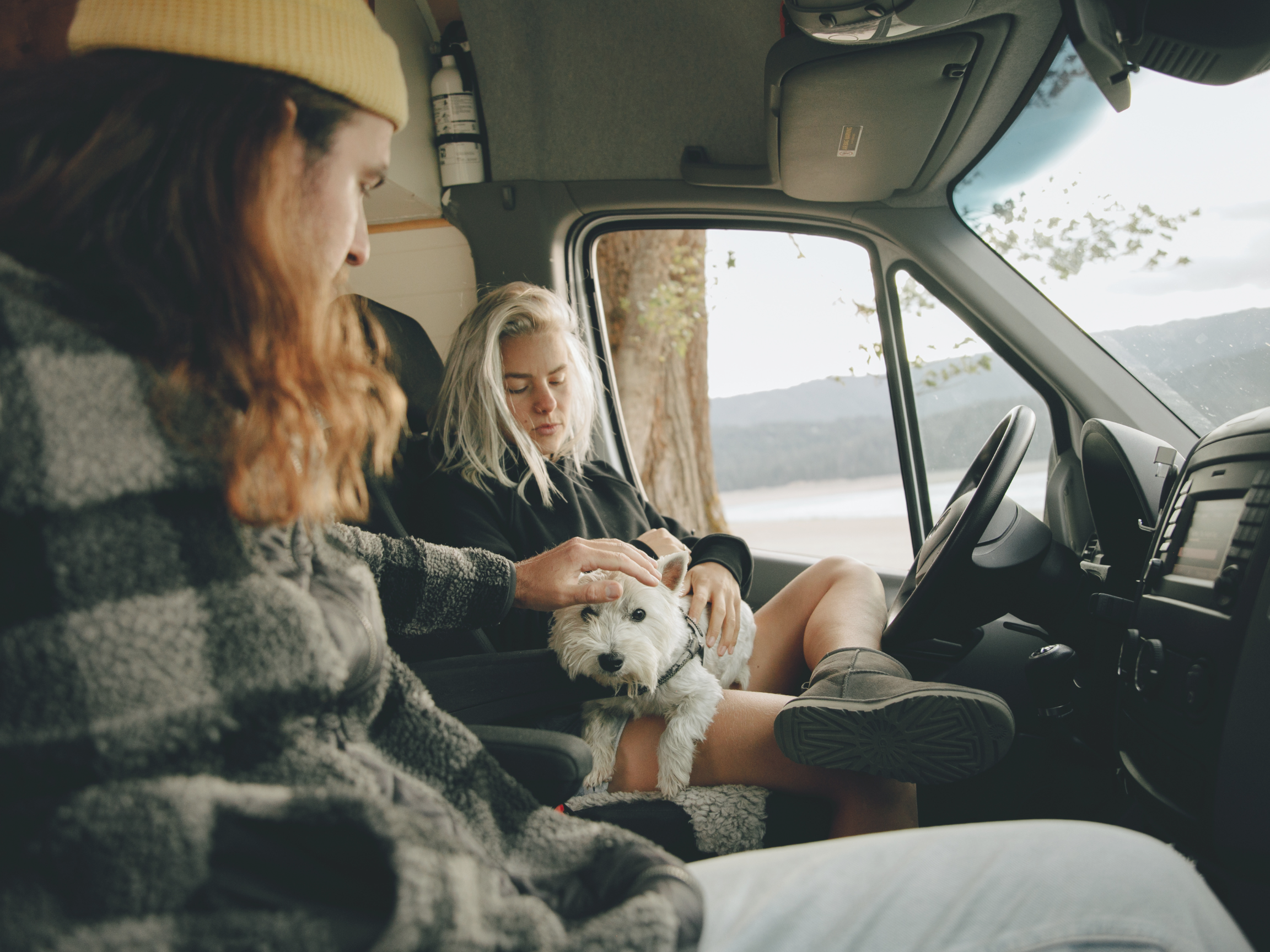 traveling with a dog in a van