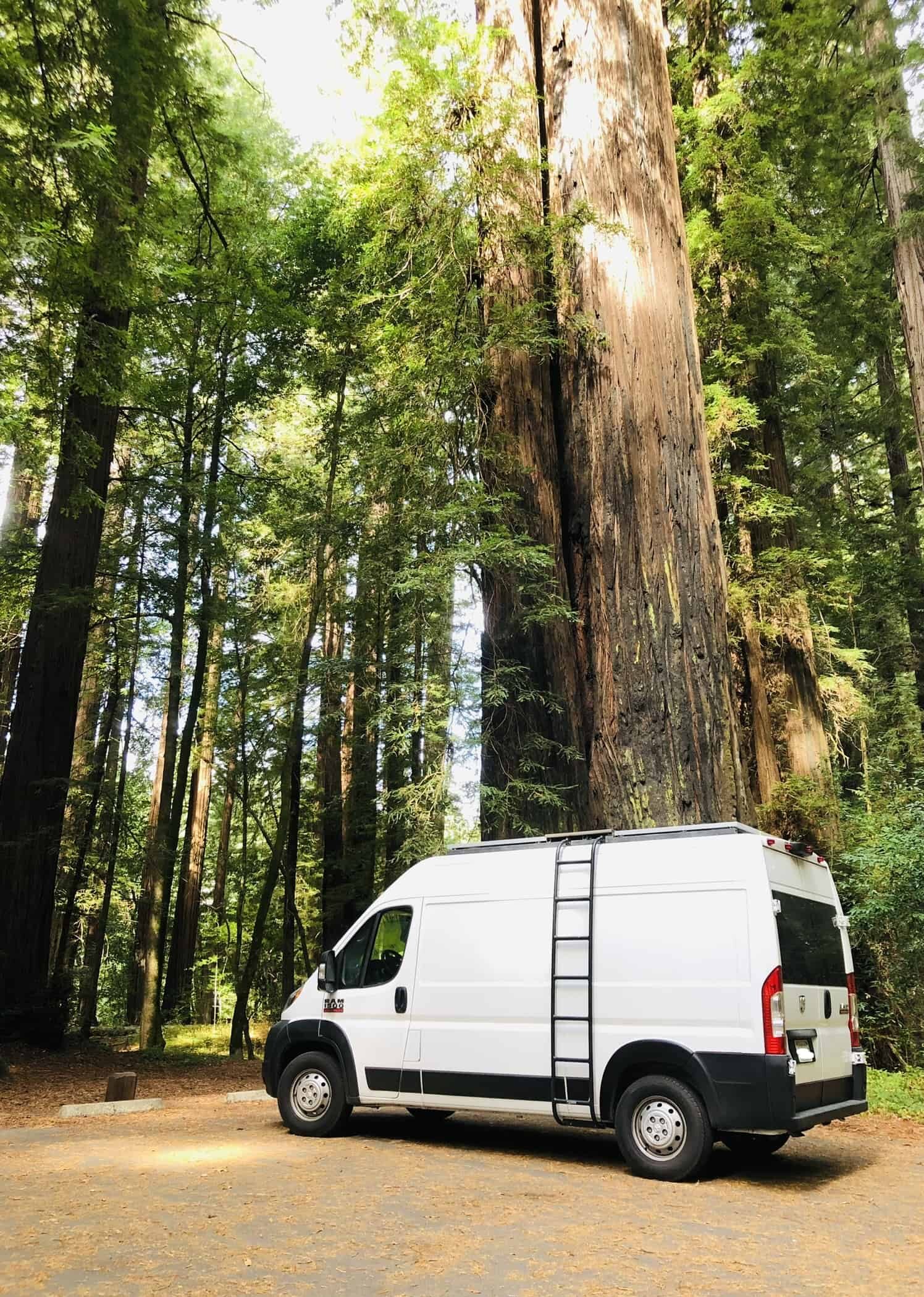 ram promaster van in the forest